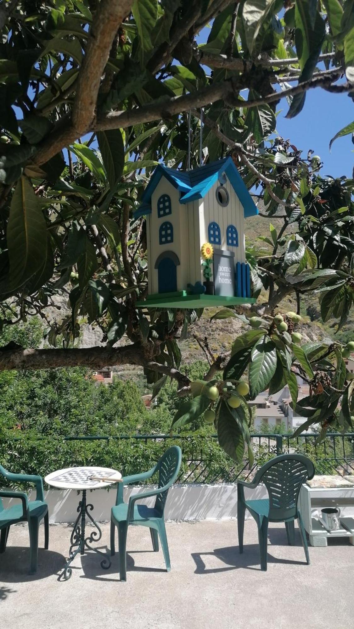 皮诺斯基尼尔La Casa De La Abuela公寓 外观 照片